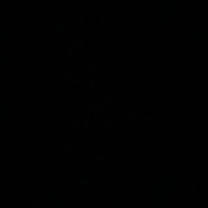 Meet your Posher, Madeleinelily